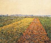 Gustave Caillebotte The Yellow Fields at Gennevilliers oil painting artist